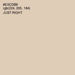 #E0CDB8 - Just Right Color Image