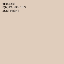 #E0CDBB - Just Right Color Image