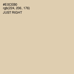 #E0CEB0 - Just Right Color Image