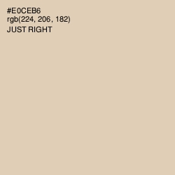 #E0CEB6 - Just Right Color Image