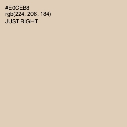 #E0CEB8 - Just Right Color Image