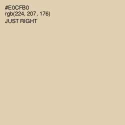 #E0CFB0 - Just Right Color Image