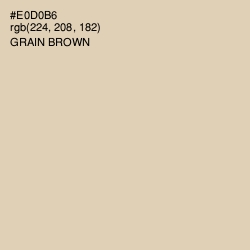 #E0D0B6 - Grain Brown Color Image