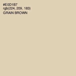 #E0D1B7 - Grain Brown Color Image