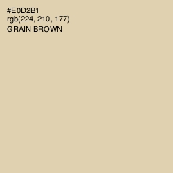 #E0D2B1 - Grain Brown Color Image