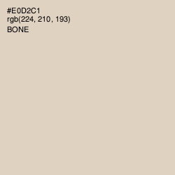 #E0D2C1 - Bone Color Image