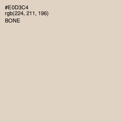 #E0D3C4 - Bone Color Image