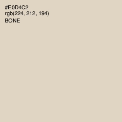 #E0D4C2 - Bone Color Image