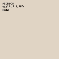 #E0D5C5 - Bone Color Image