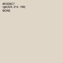 #E0D6C7 - Bone Color Image