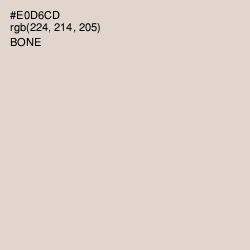 #E0D6CD - Bone Color Image