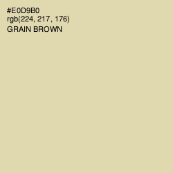 #E0D9B0 - Grain Brown Color Image