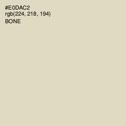 #E0DAC2 - Bone Color Image