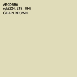 #E0DBB8 - Grain Brown Color Image