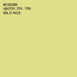 #E0E08B - Wild Rice Color Image