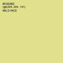 #E0E08D - Wild Rice Color Image