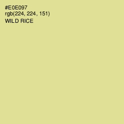 #E0E097 - Wild Rice Color Image
