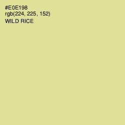 #E0E198 - Wild Rice Color Image