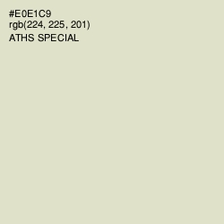 #E0E1C9 - Aths Special Color Image