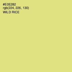 #E0E282 - Wild Rice Color Image