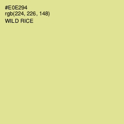 #E0E294 - Wild Rice Color Image