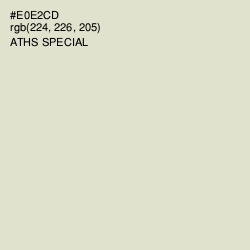 #E0E2CD - Aths Special Color Image