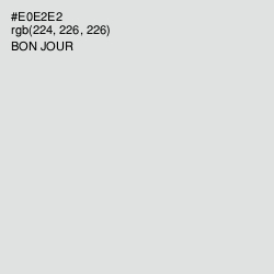 #E0E2E2 - Bon Jour Color Image