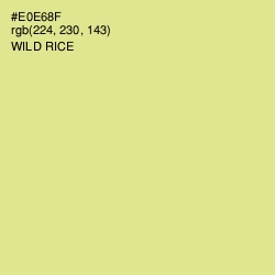 #E0E68F - Wild Rice Color Image