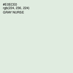 #E0ECE0 - Gray Nurse Color Image