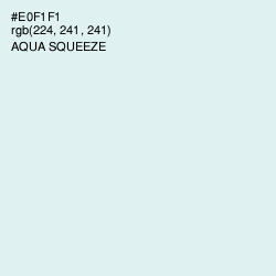 #E0F1F1 - Aqua Squeeze Color Image