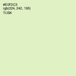 #E0F2C3 - Tusk Color Image