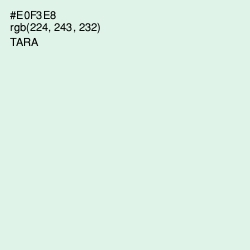 #E0F3E8 - Tara Color Image