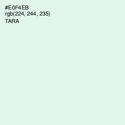 #E0F4EB - Tara Color Image