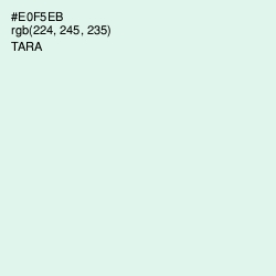 #E0F5EB - Tara Color Image