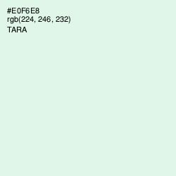 #E0F6E8 - Tara Color Image
