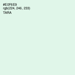 #E0F6E9 - Tara Color Image