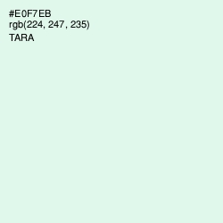 #E0F7EB - Tara Color Image