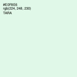 #E0F8E6 - Tara Color Image