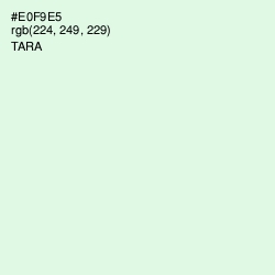 #E0F9E5 - Tara Color Image