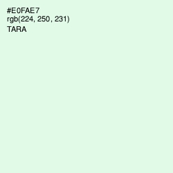 #E0FAE7 - Tara Color Image