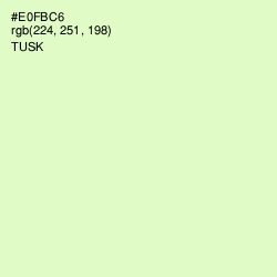 #E0FBC6 - Tusk Color Image