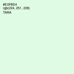 #E0FBE4 - Tara Color Image