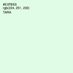 #E0FBE6 - Tara Color Image