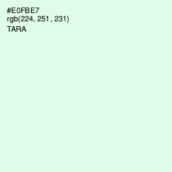 #E0FBE7 - Tara Color Image