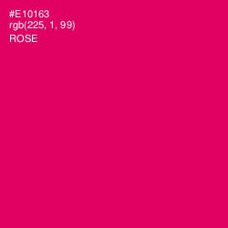 #E10163 - Rose Color Image