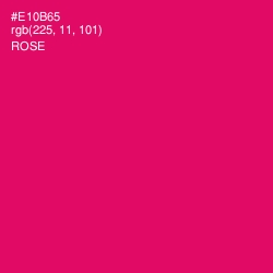 #E10B65 - Rose Color Image