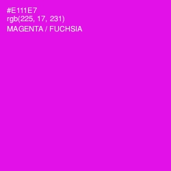 #E111E7 - Magenta / Fuchsia Color Image