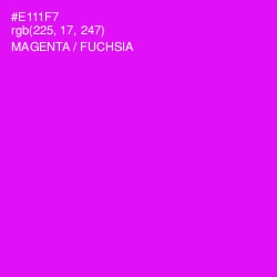 #E111F7 - Magenta / Fuchsia Color Image