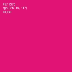 #E11375 - Rose Color Image