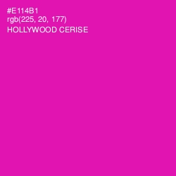 #E114B1 - Hollywood Cerise Color Image